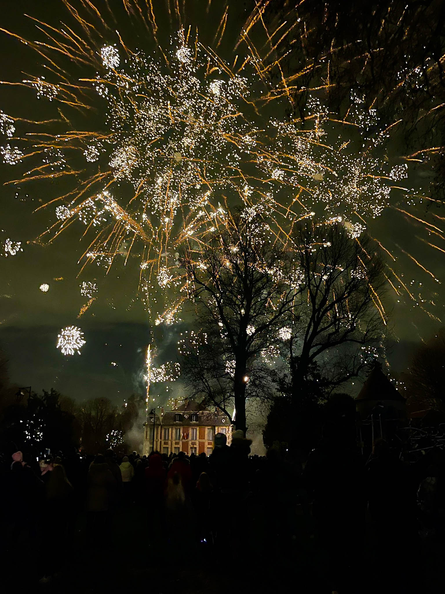 FEU D_ARTIFICE 25.jpg
