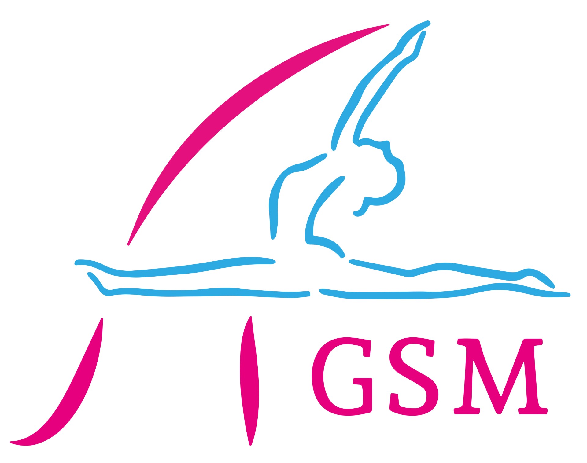 AGSM-fond blanc logo.jpeg