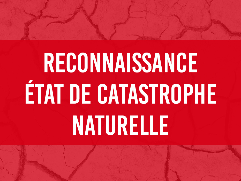 catastrophenaturelle.jpg