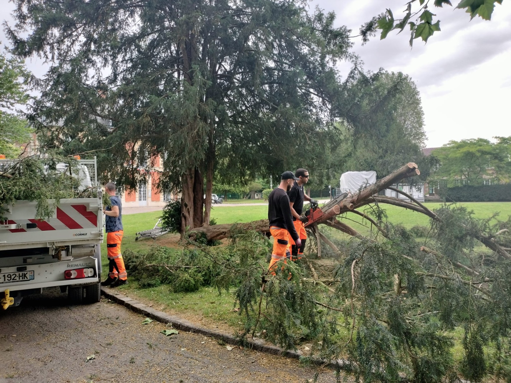 ARBRE 1606 3.jpg