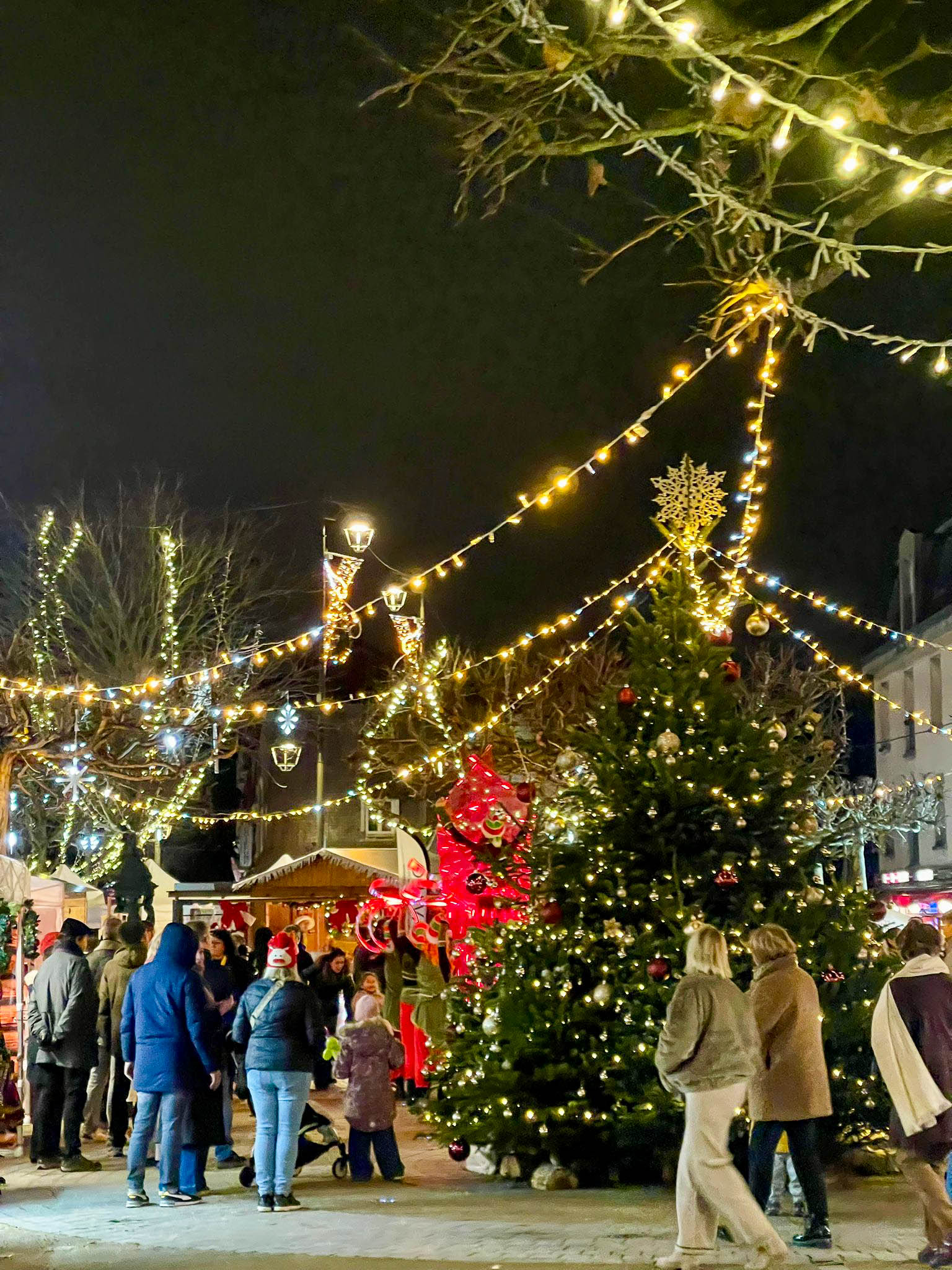 MARCHÉ NOEL 2025-69.jpg