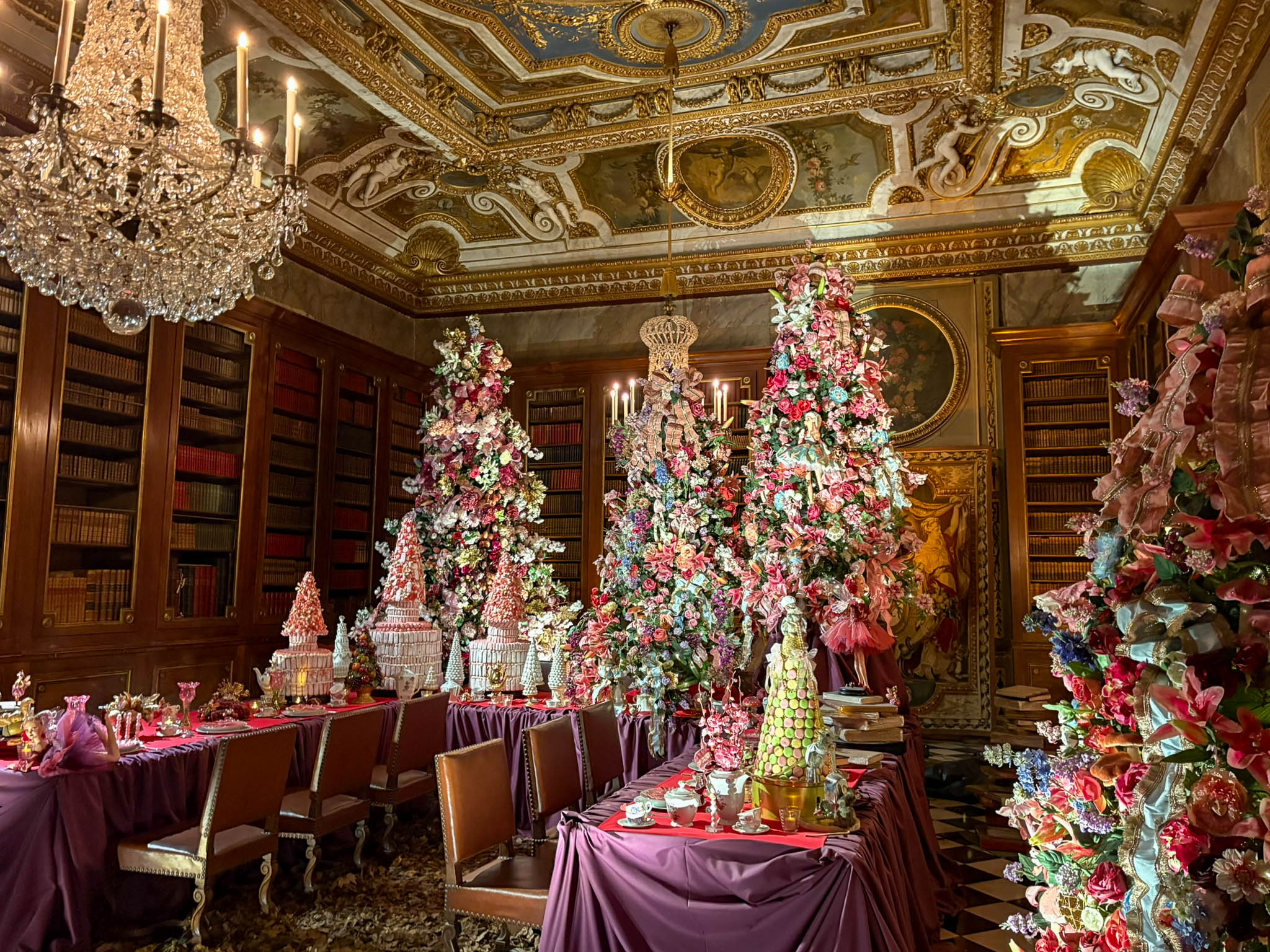 SENIORS VAUXLEVICOMTE-6.jpg