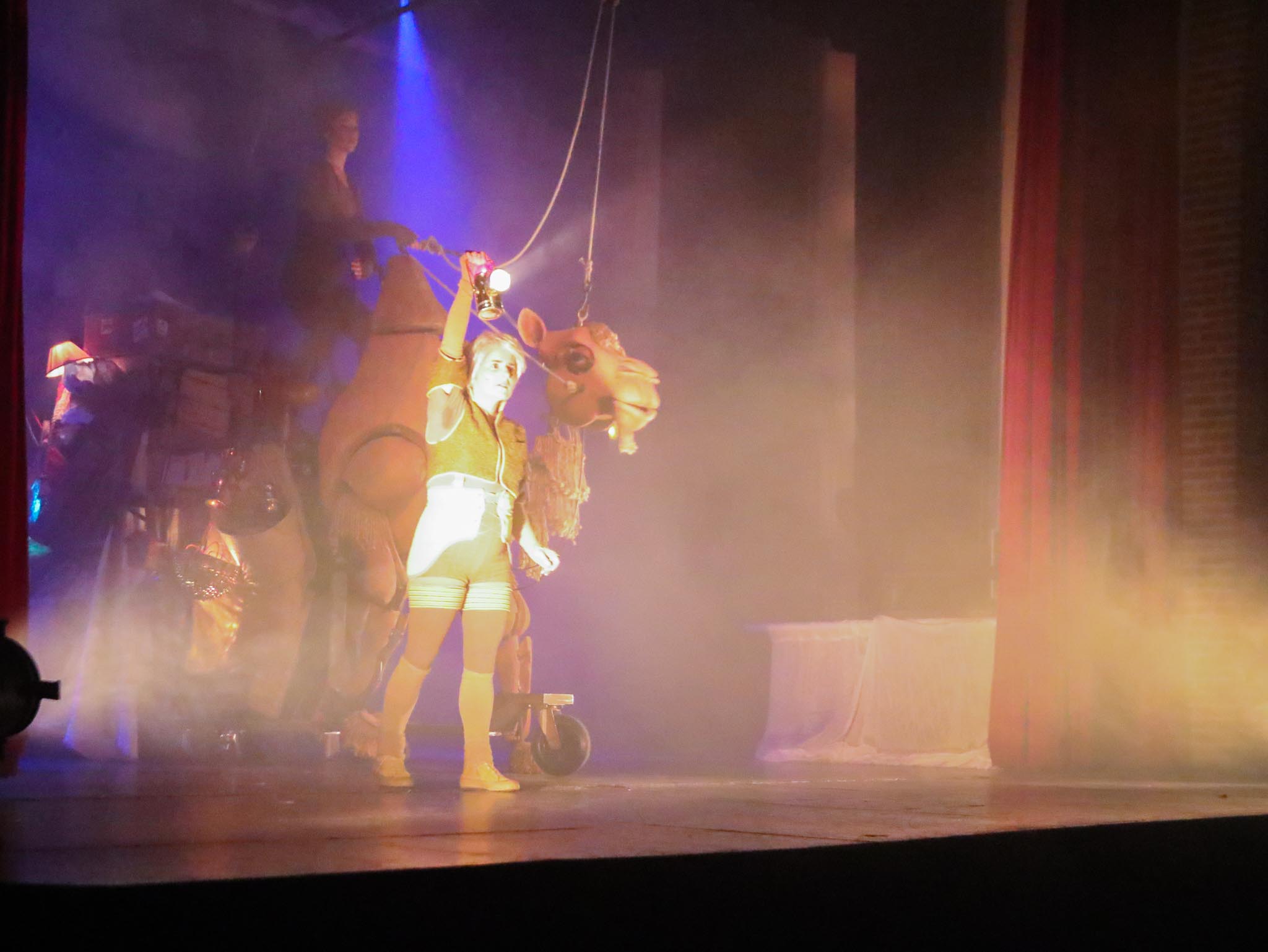 A DOS DE CHAMEAU-14.jpg