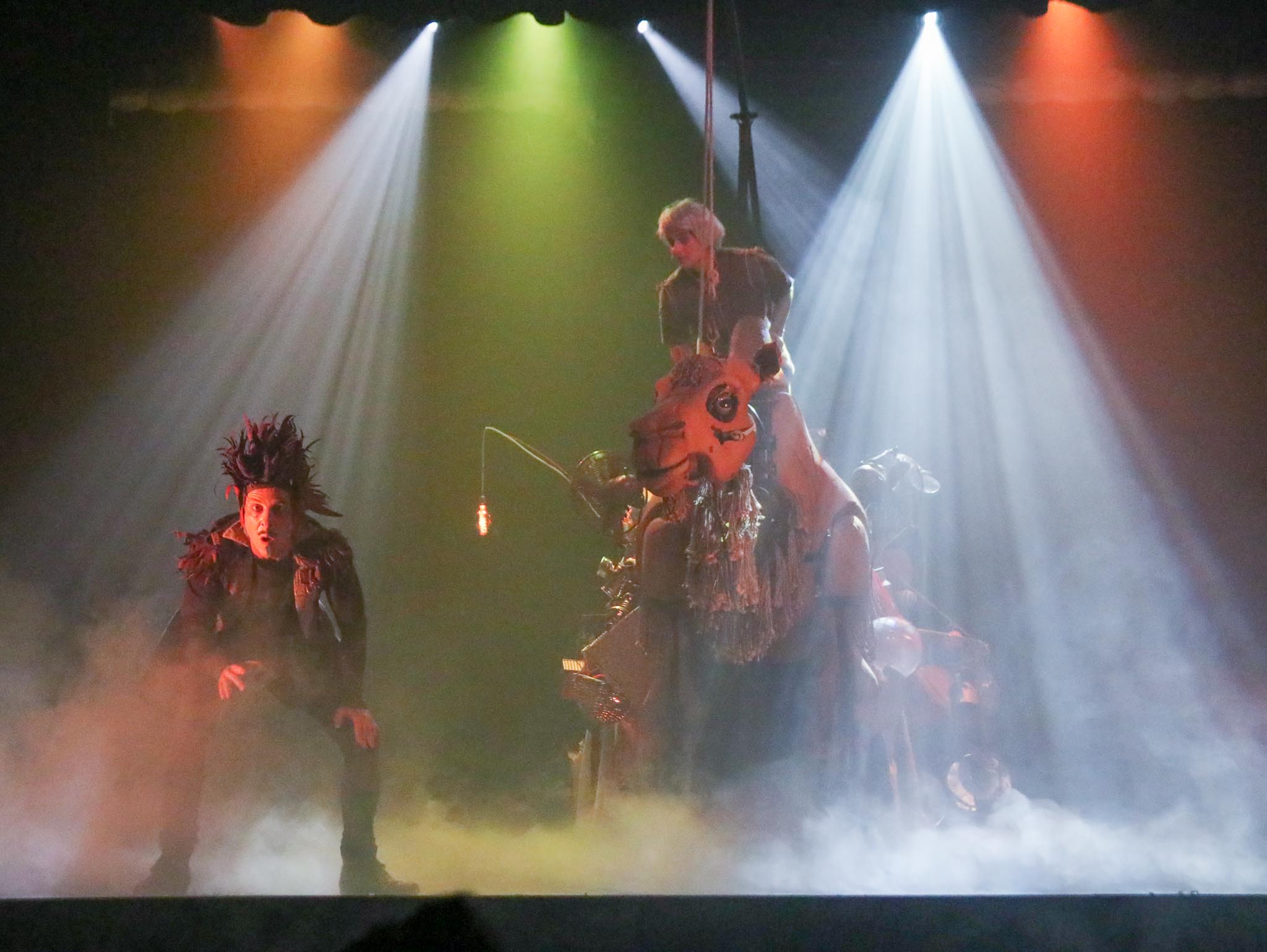 A DOS DE CHAMEAU-11.jpg