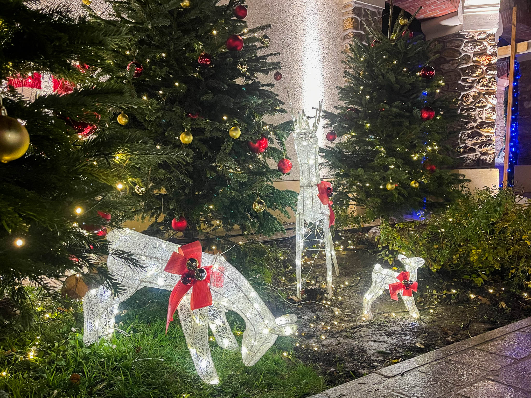 MARCHÉ NOEL 2025-61.jpg