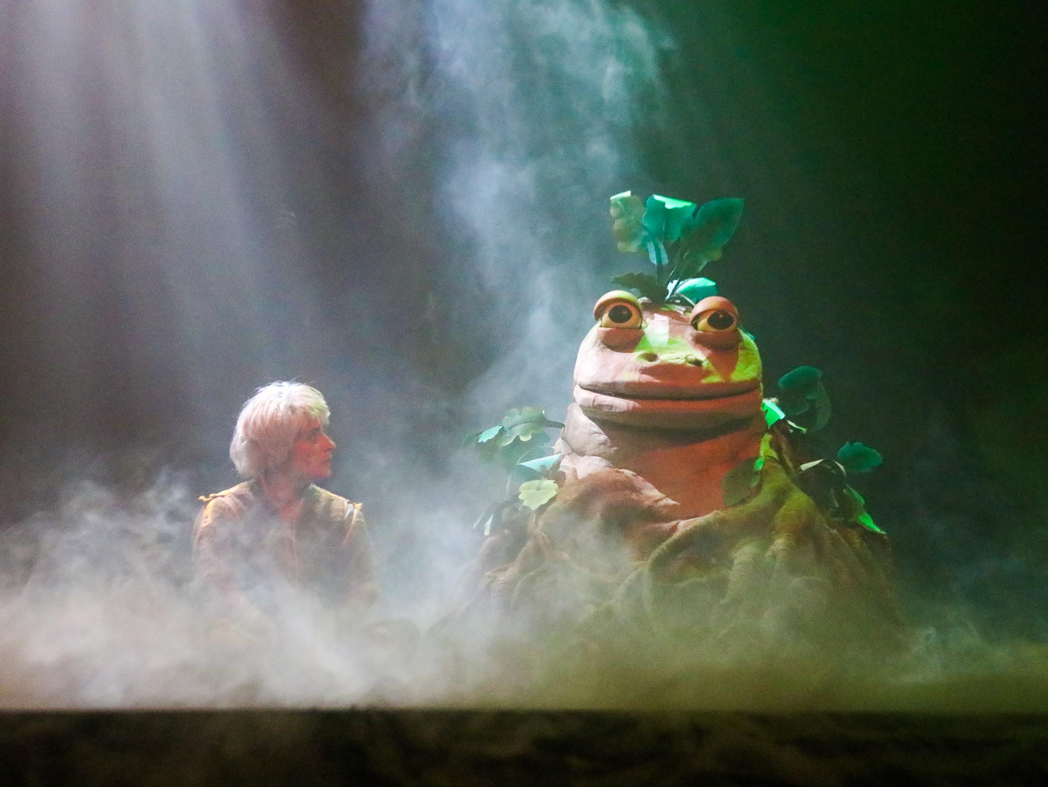 A DOS DE CHAMEAU-8.jpg