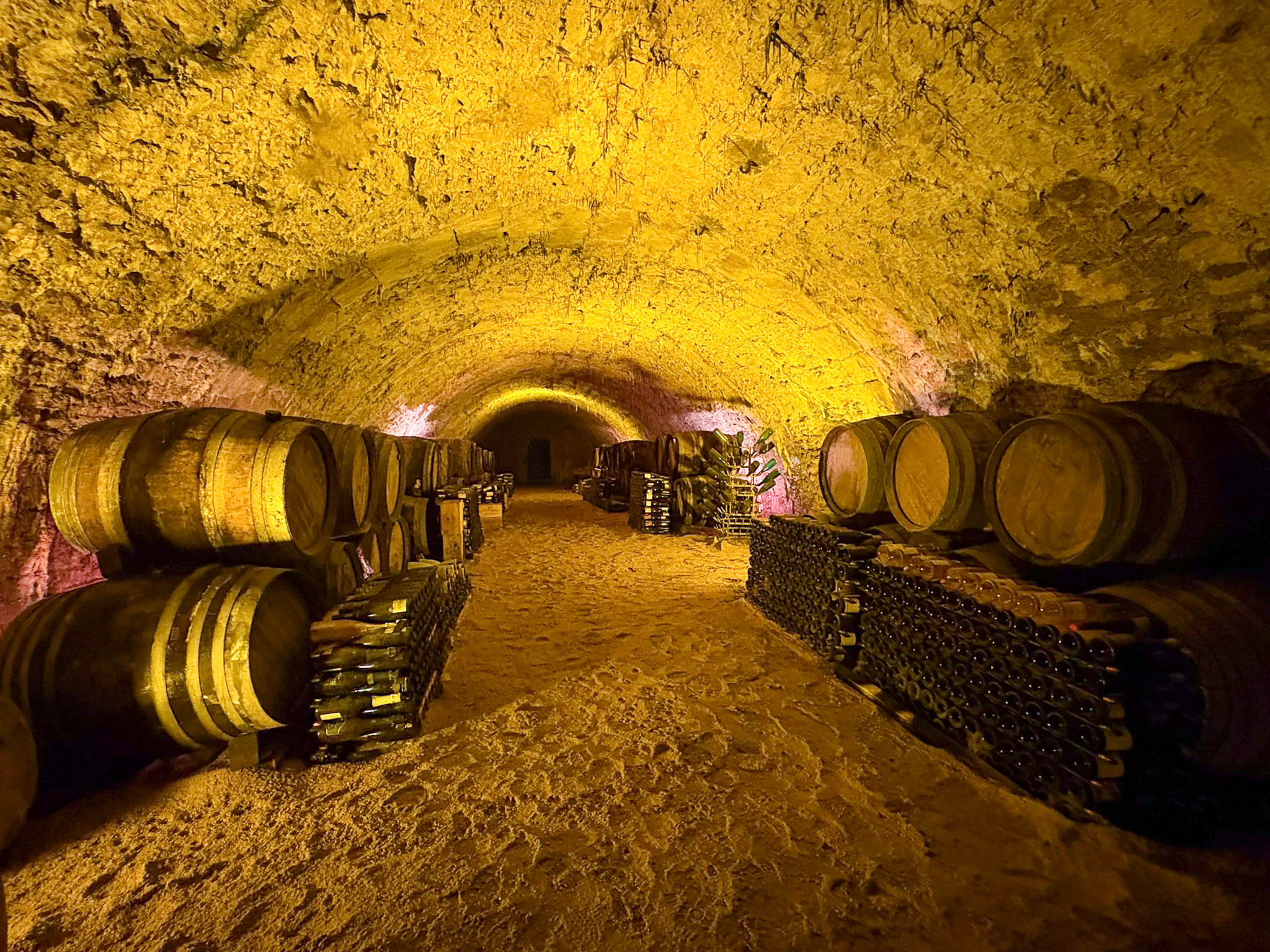 SENIORS VAUXLEVICOMTE-4.jpg