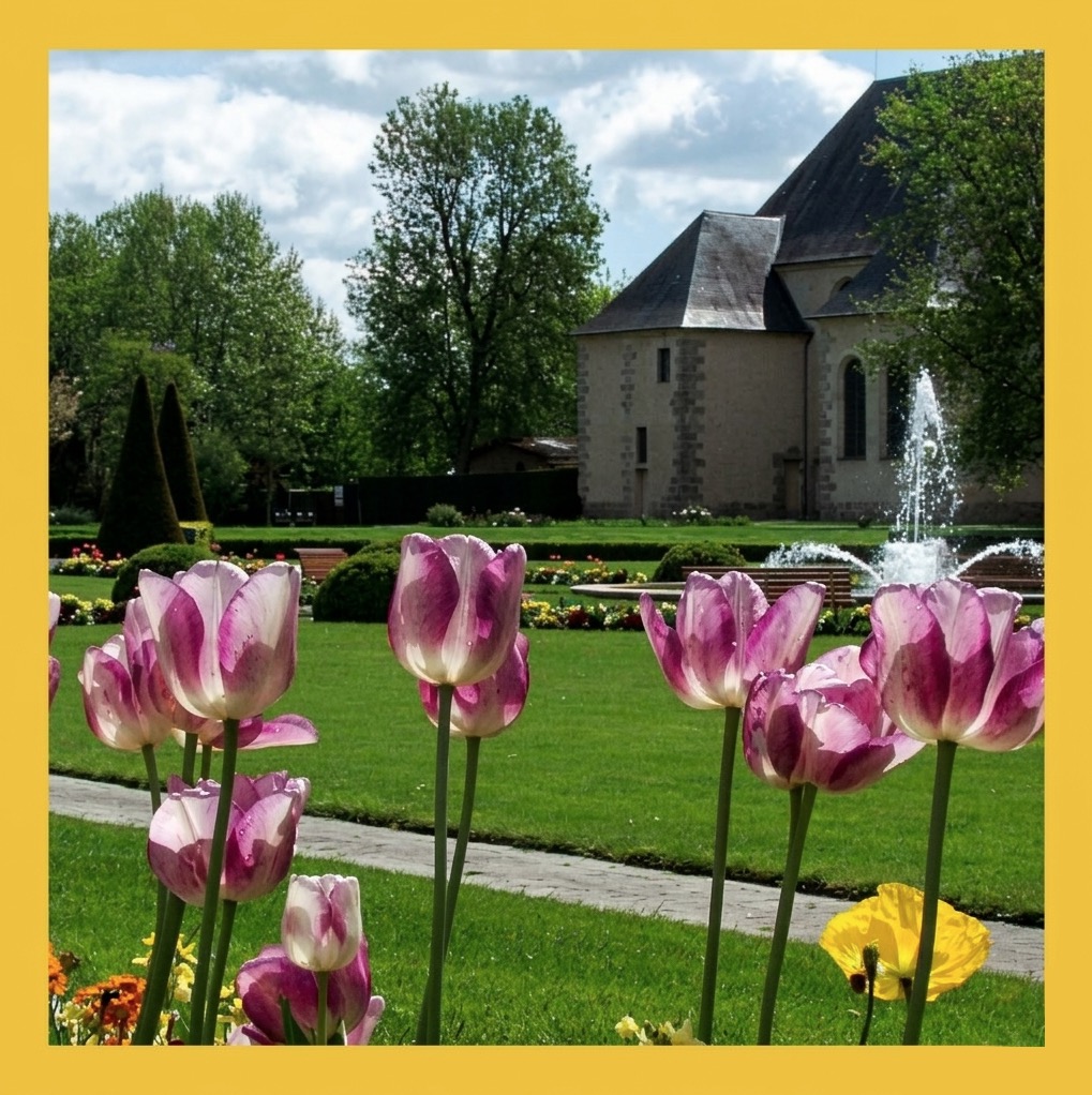SORTIE FAMILLES COULOMMIERS.jpg