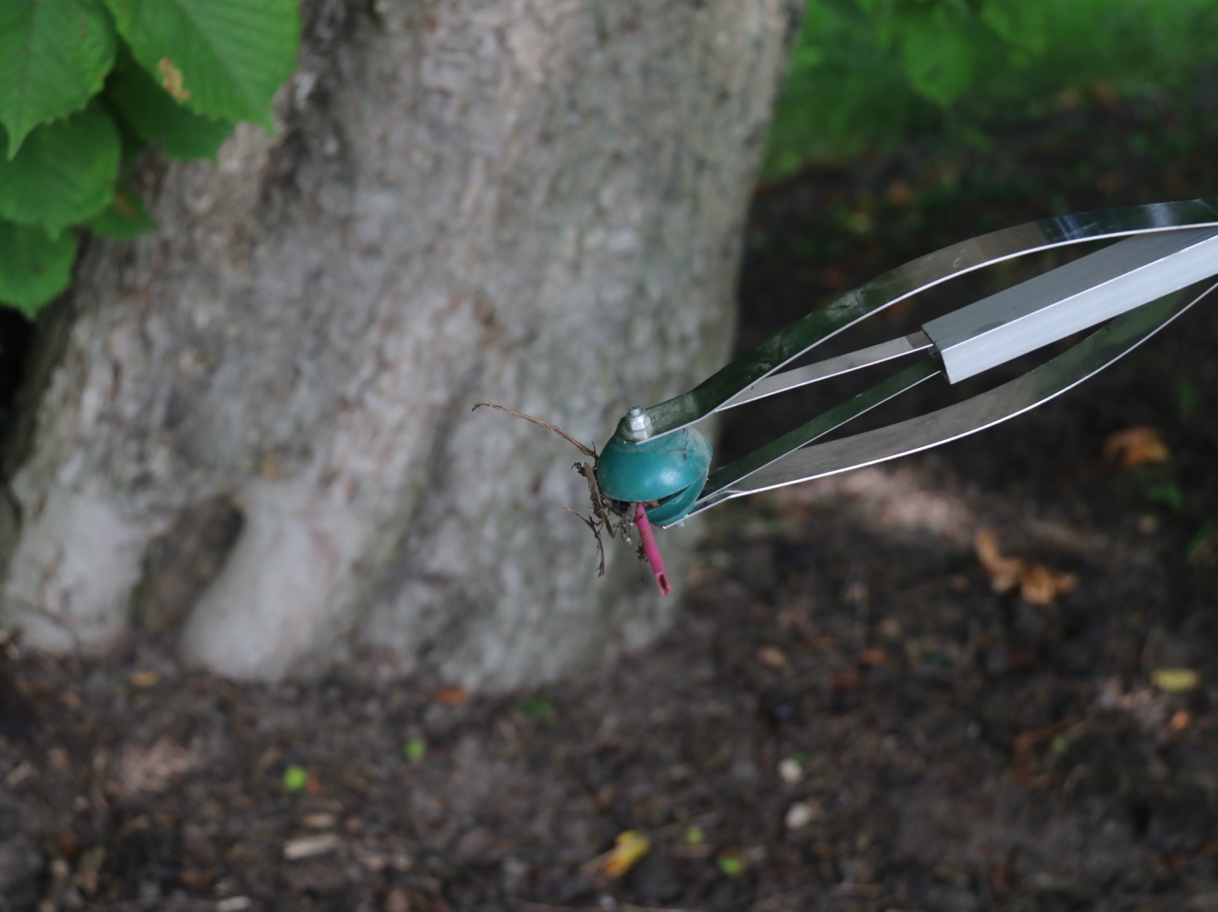 Capture d’écran 2024-06-18 à 15.09.56.jpg