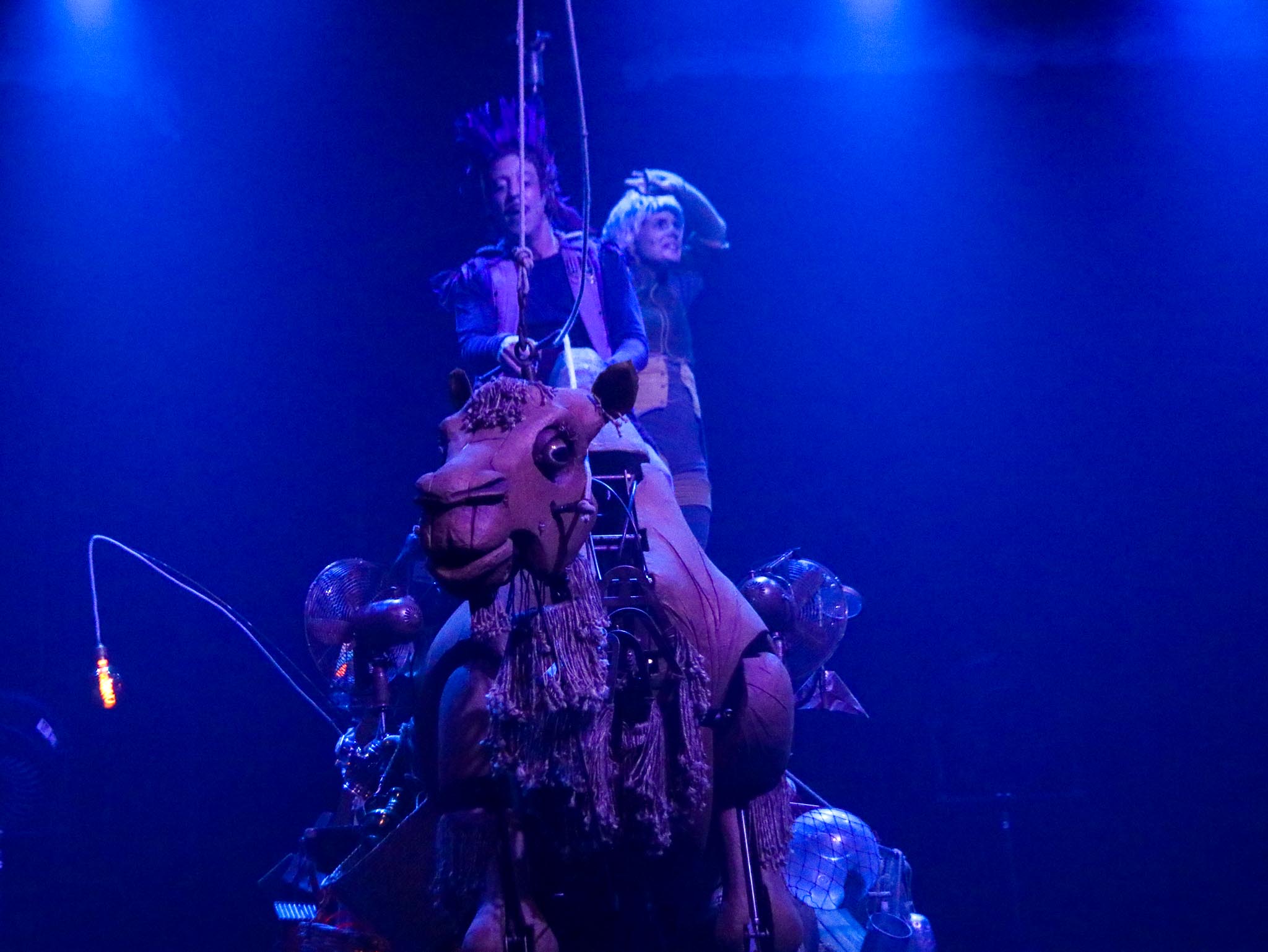 A DOS DE CHAMEAU-3.jpg