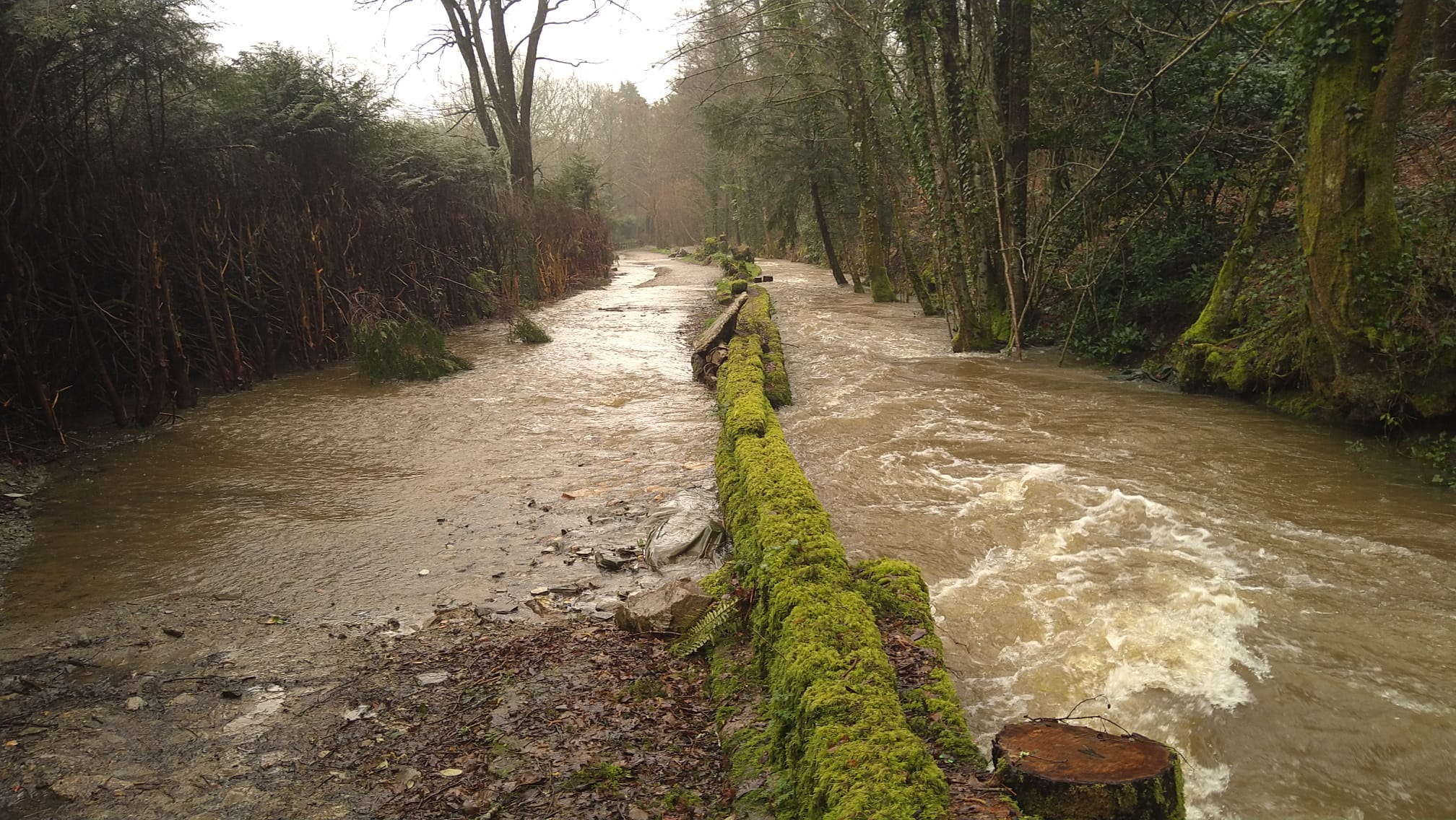 visuel de la rivière du Cens qui déborde de son lit