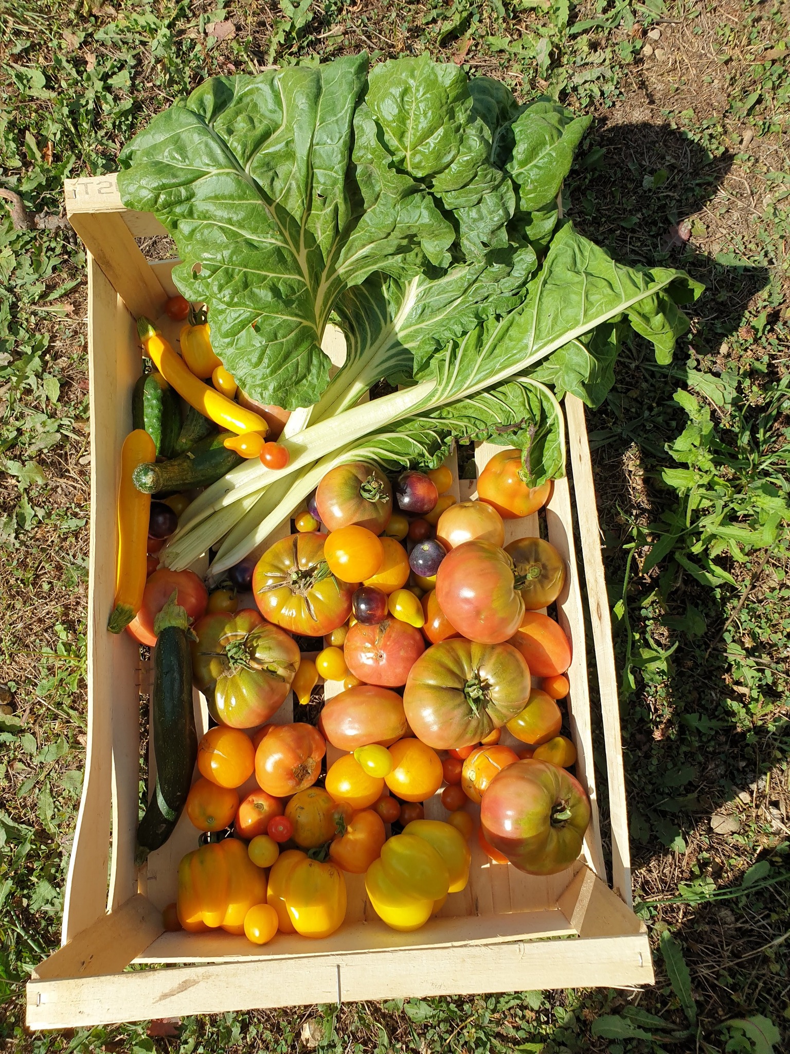 JARDIN ZULMA 3 PHOTO.jpg