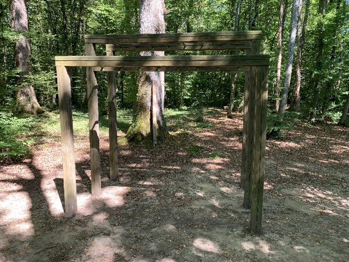 Image1.jpg