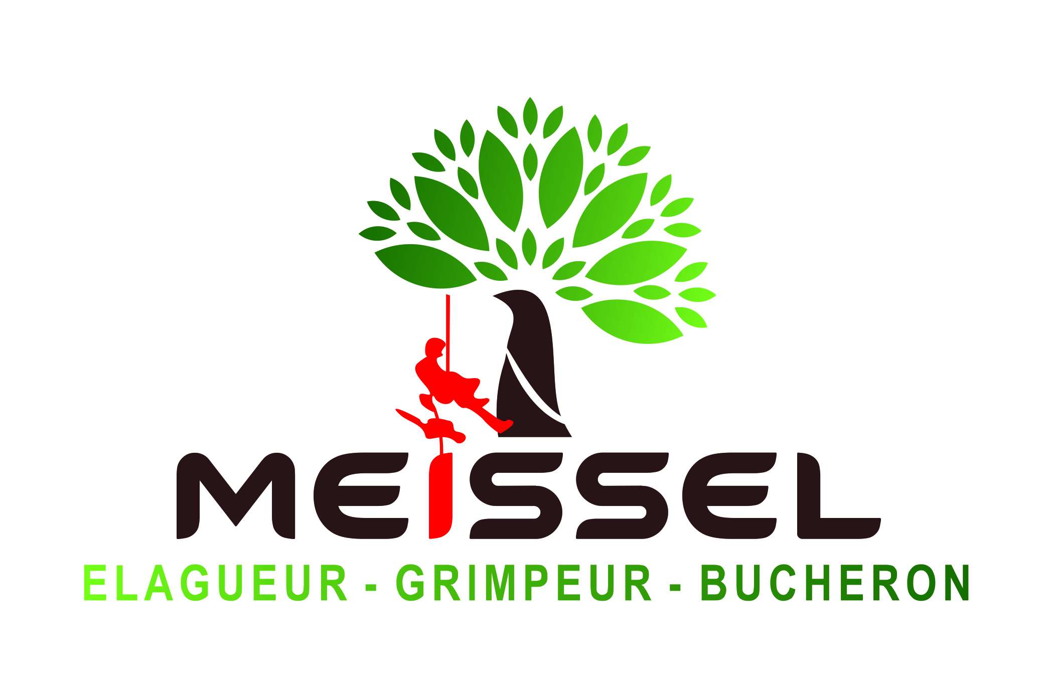 MEISSEL logo.jpg MEISSEL logo.jpg