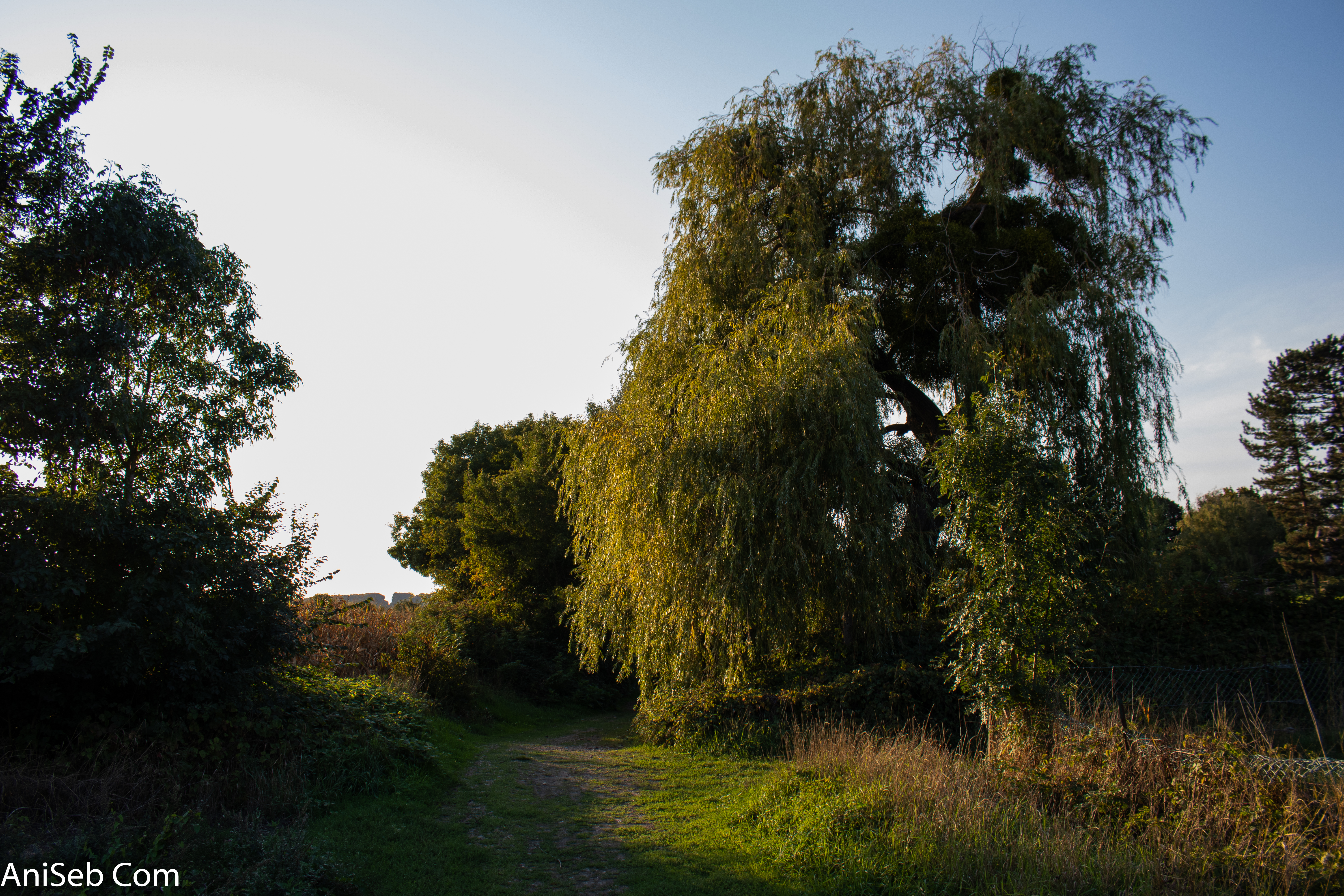 Balade du 12 sept 2020 6.jpg