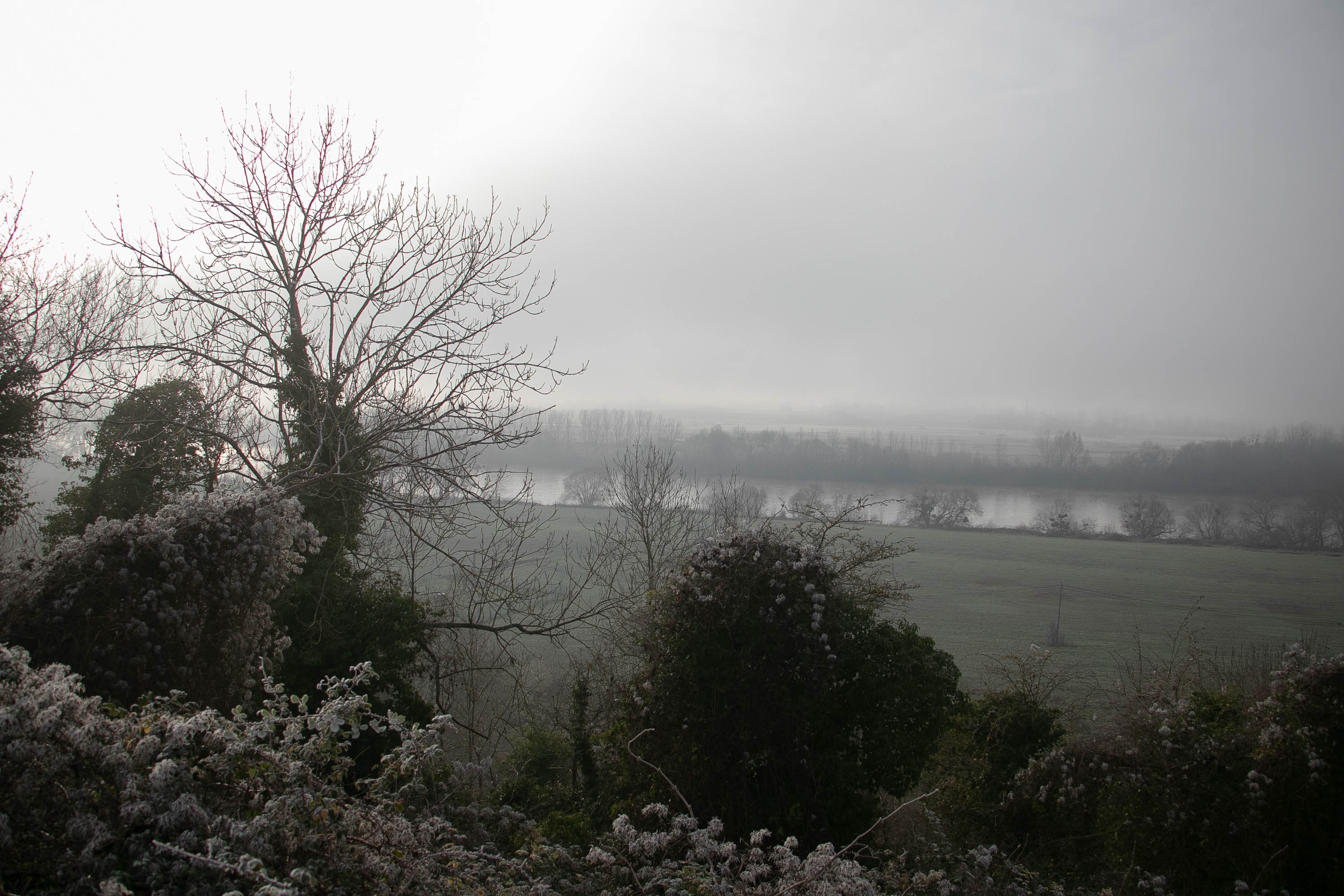 Paysage CSS vers la Seine 1er janvier 21-1- mise sur le site le 3 janv.jpg