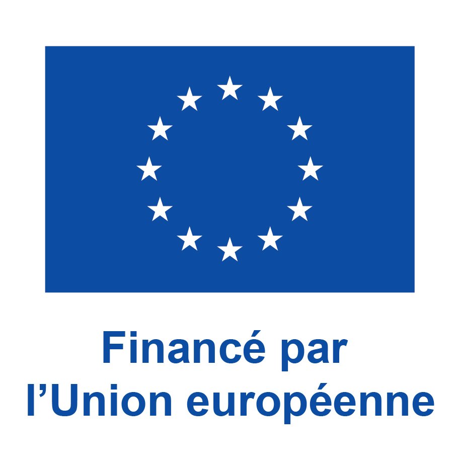 FR V Financé par l’Union européenne_PANTONE.jpg