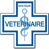 veterinaire.jpg