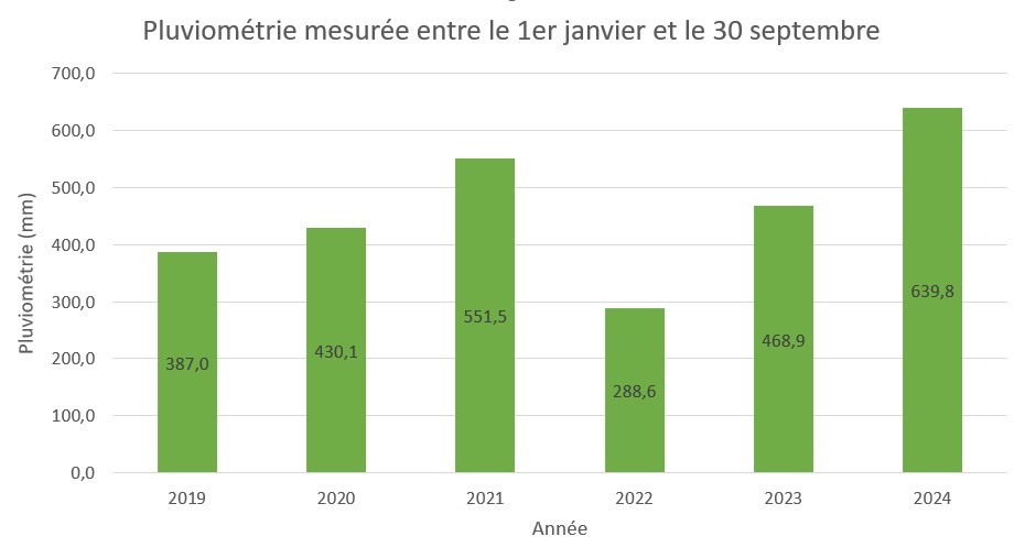 Pluviometrie 2024.jpg