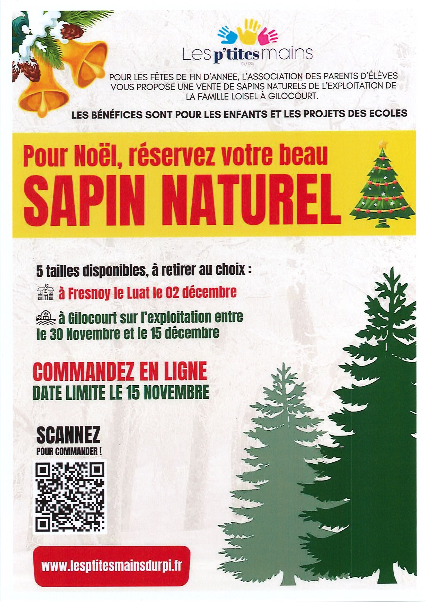 Vente sapins naturels noël 2024.jpg