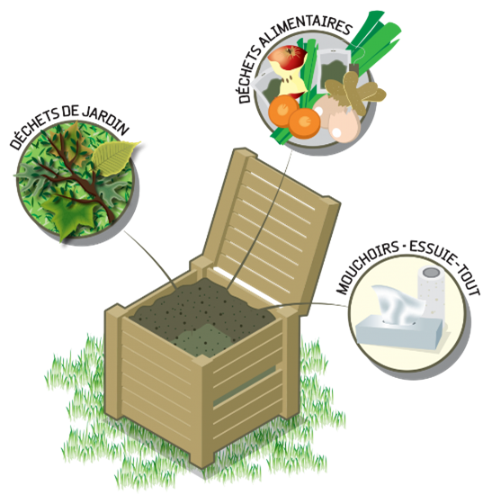 Image2.png