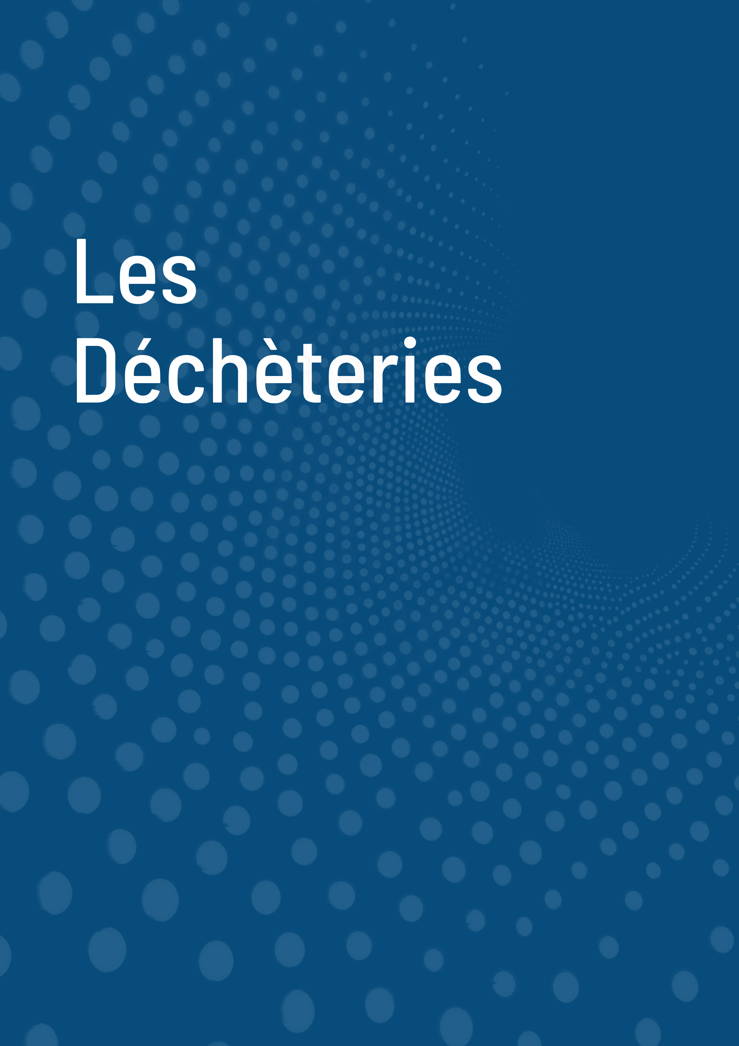 Rapport Annuel 202530.jpg