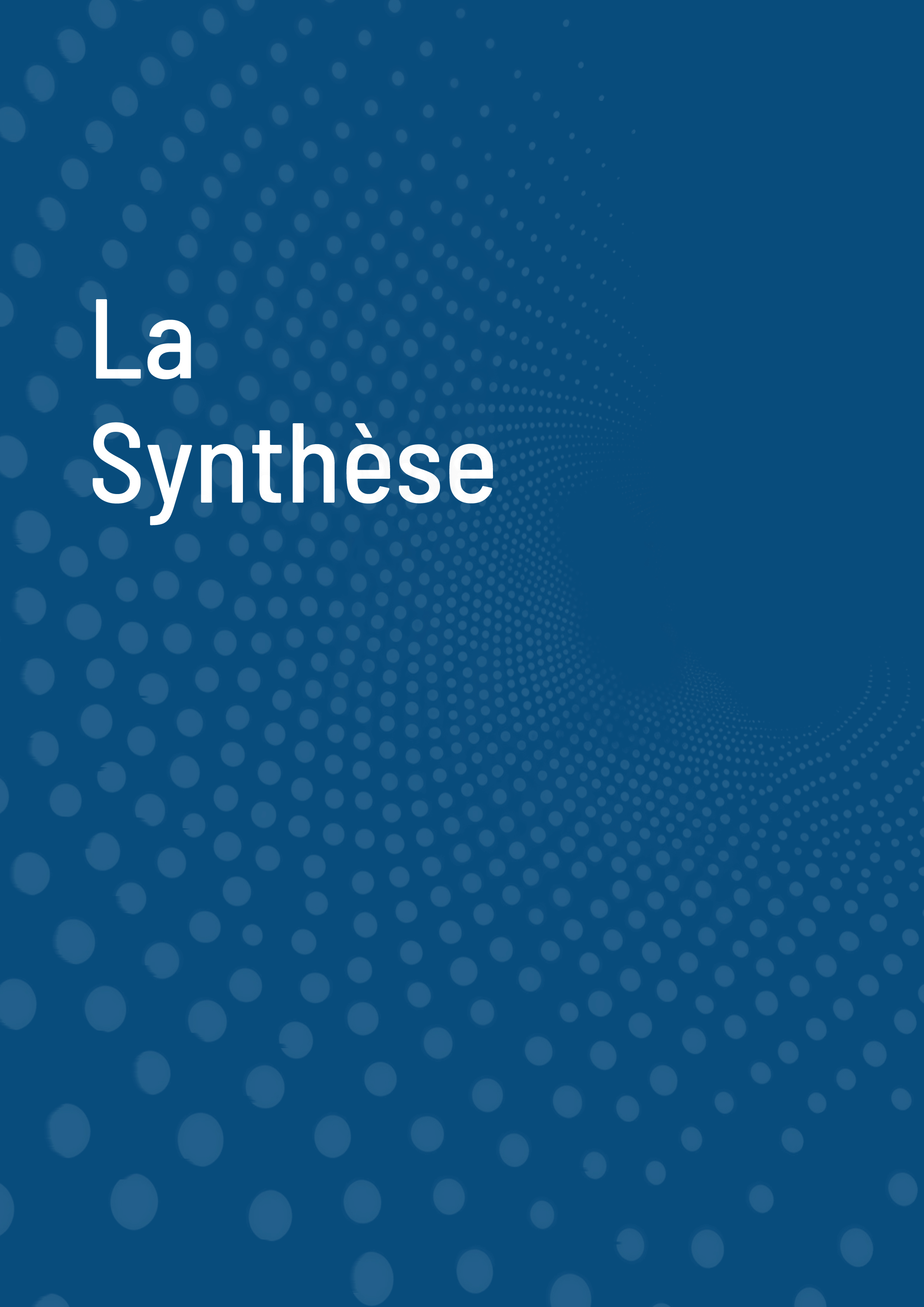 Rapport Annuel 202539.jpg