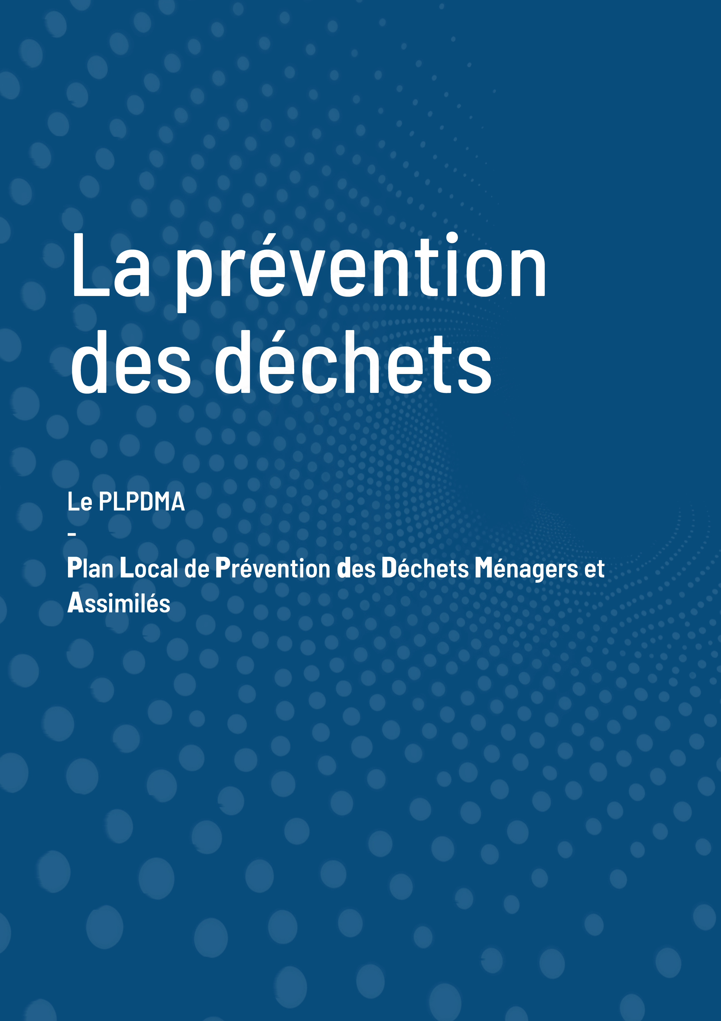 Rapport Annuel 202510.jpg