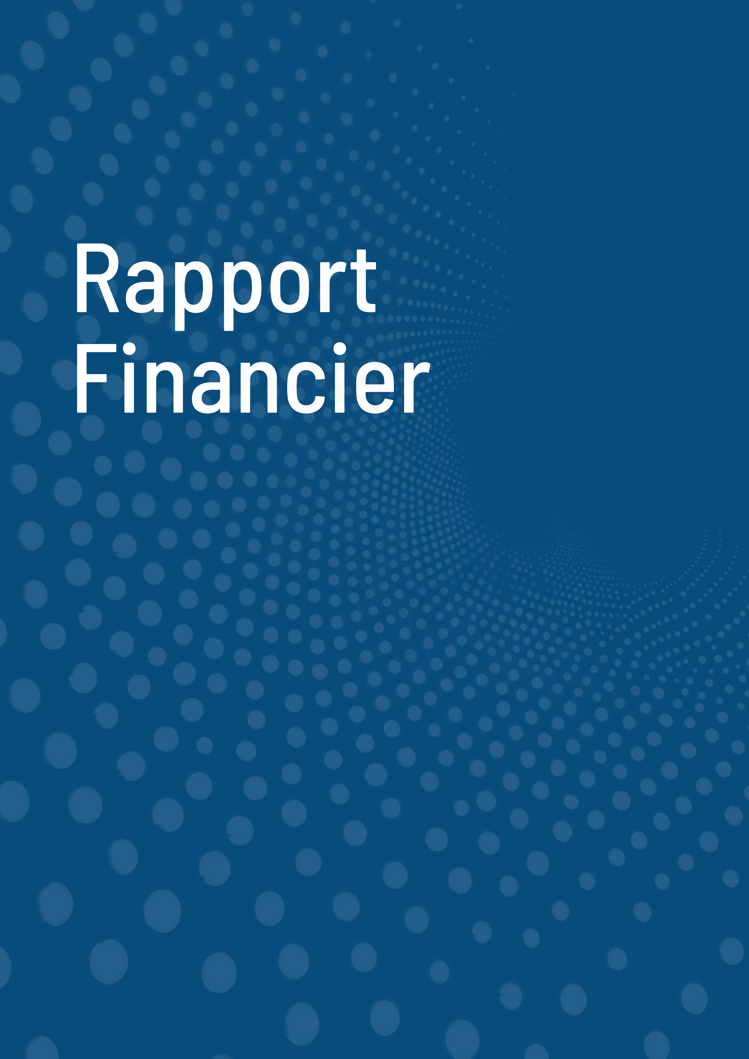 Rapport Annuel 202536.jpg