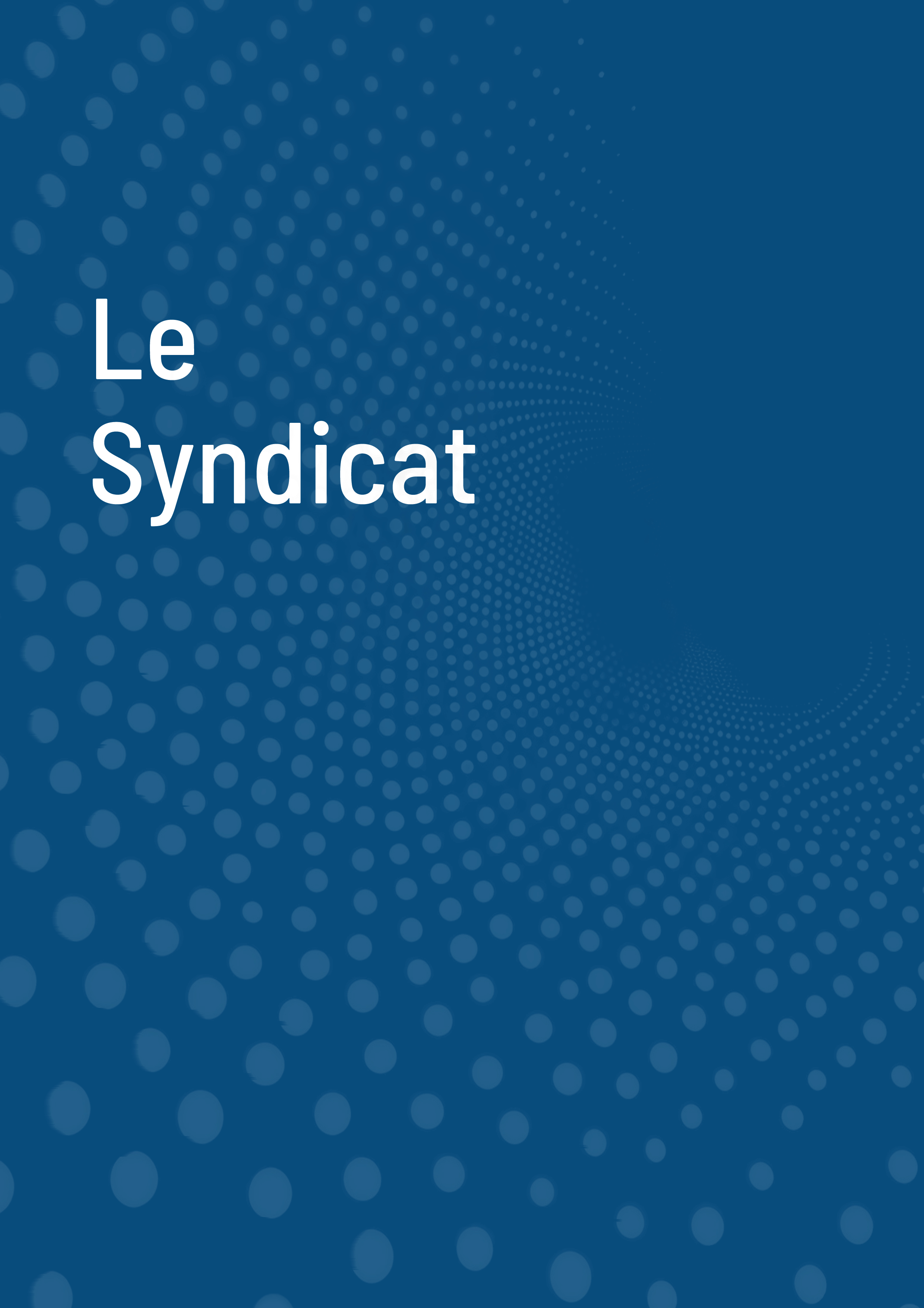 Rapport Annuel 20256.jpg