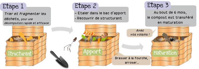 Image11.png