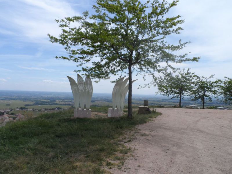 sentier des lys.jpg