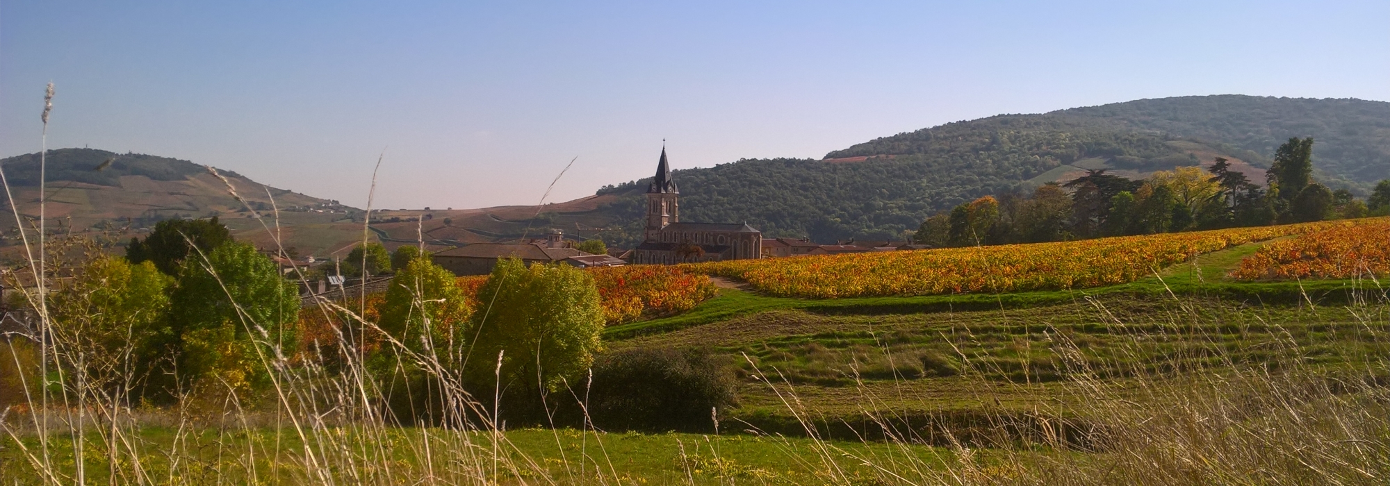 Quincié en Beaujolais.jpg