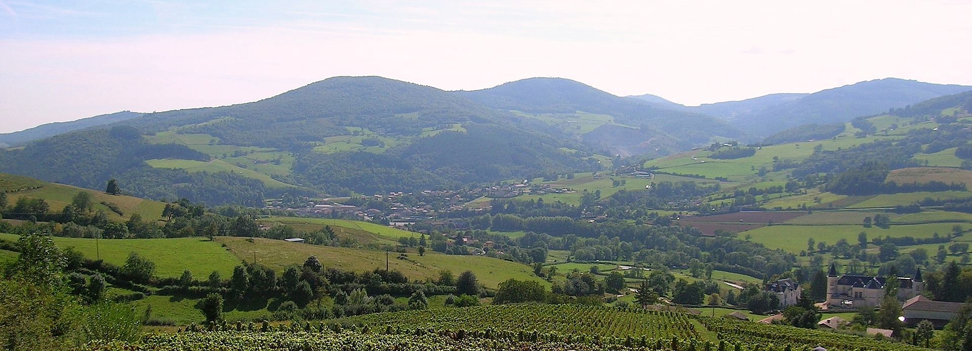 Saint-Didier-sur-Beaujeu.jpg