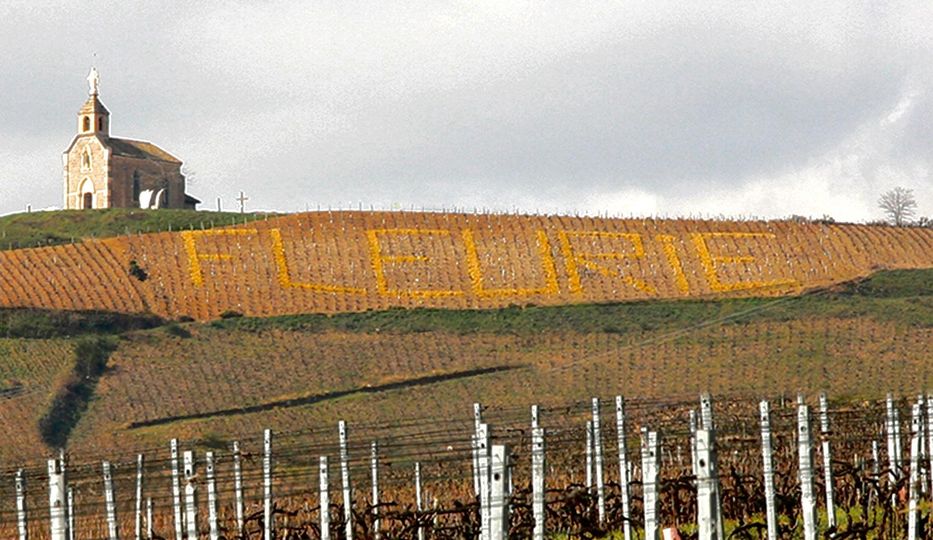 Fleurie.jpg