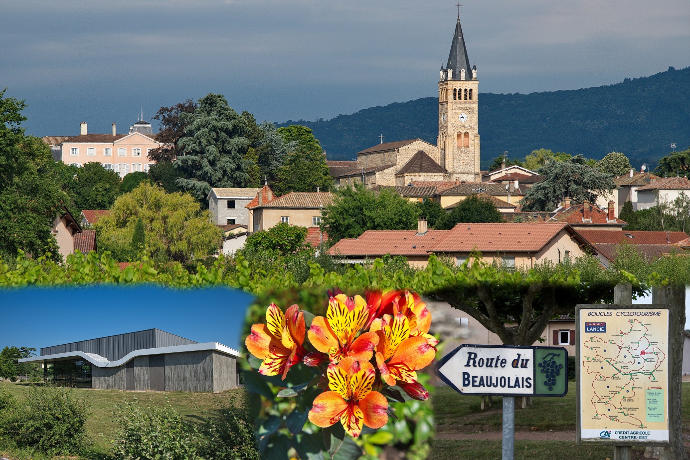 Composition Lancié.jpg