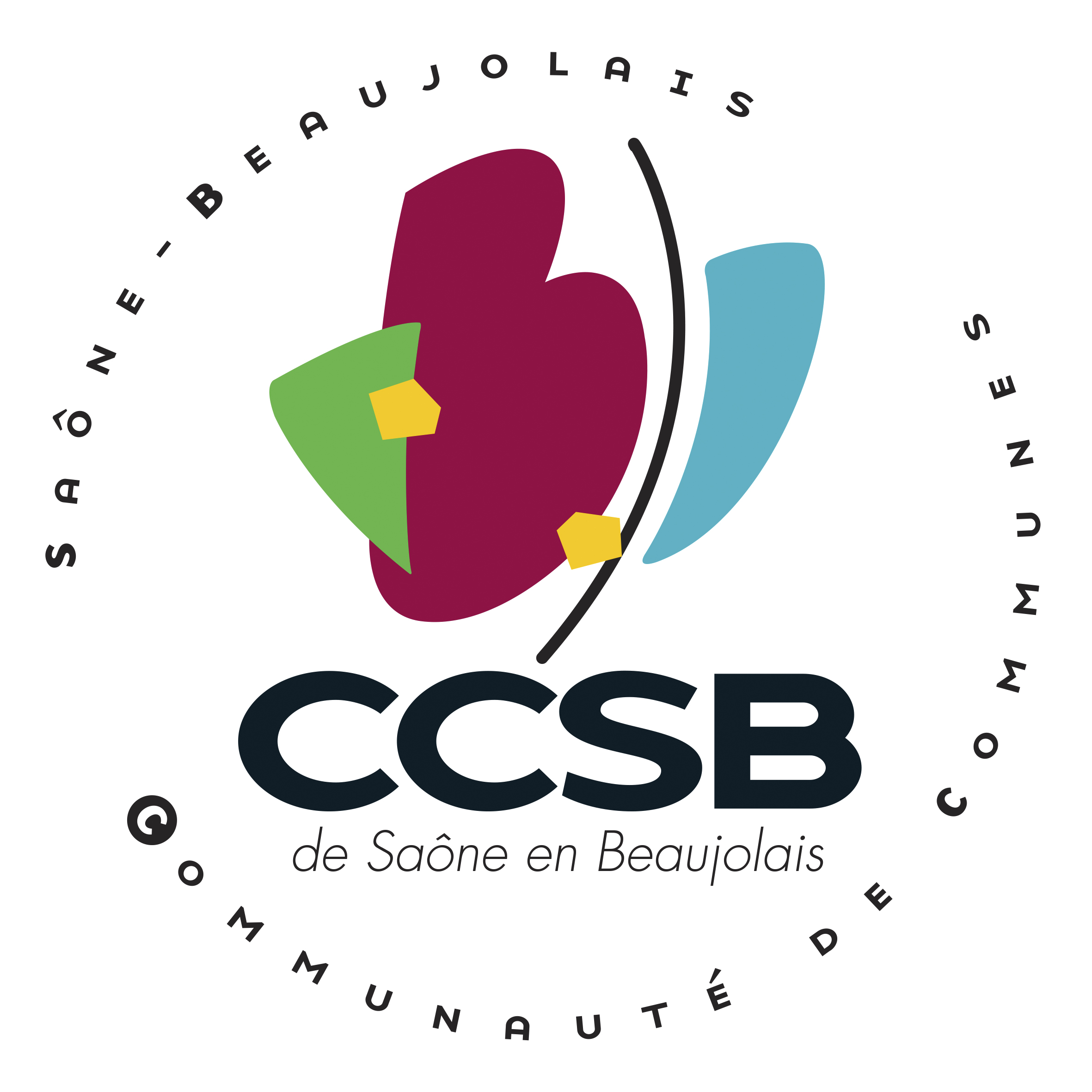 CCSB logo QUADRI L _1_.jpg