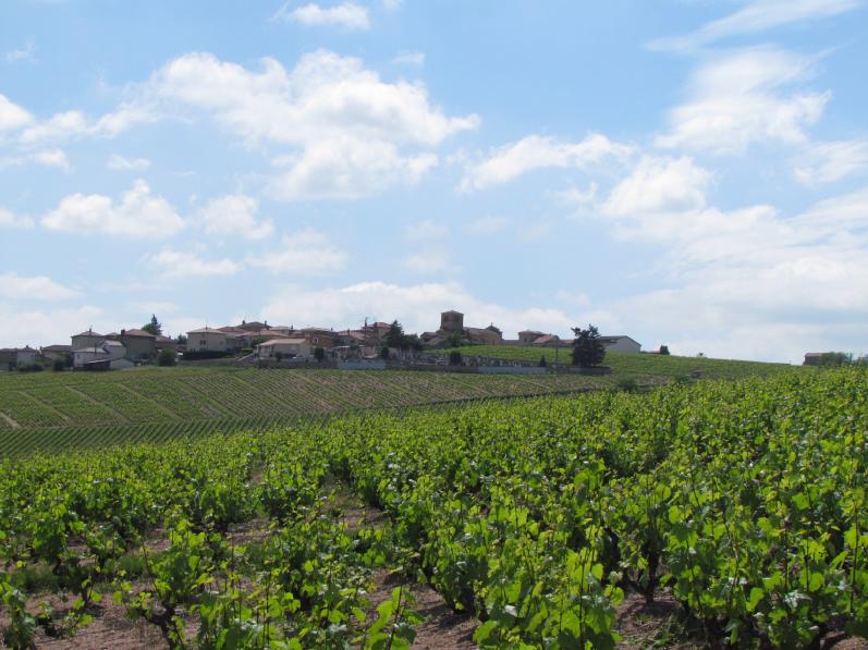 Saint-Etienne-la-Varenne.jpg