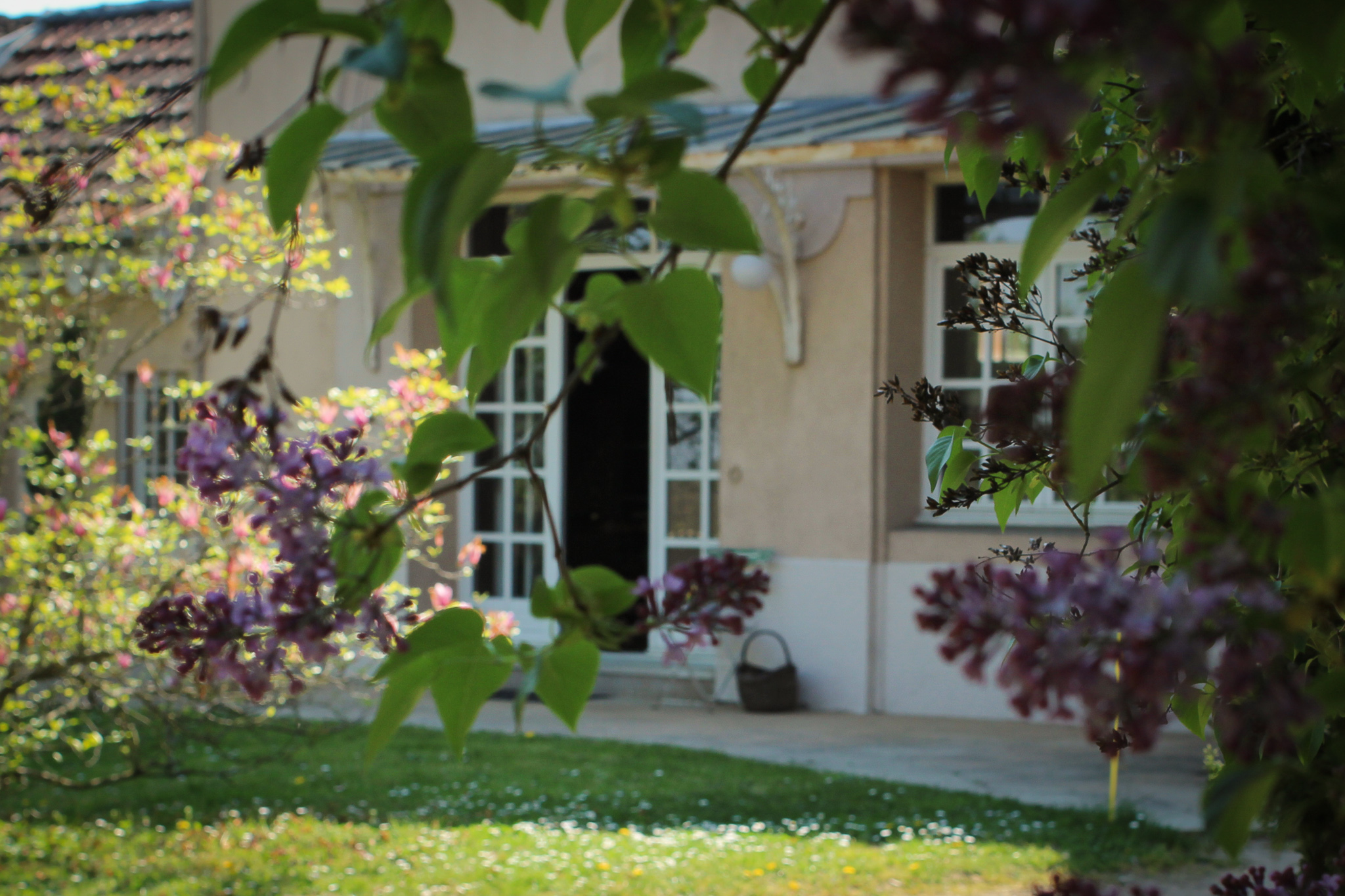 gîte du domaine de la Serve.jpg