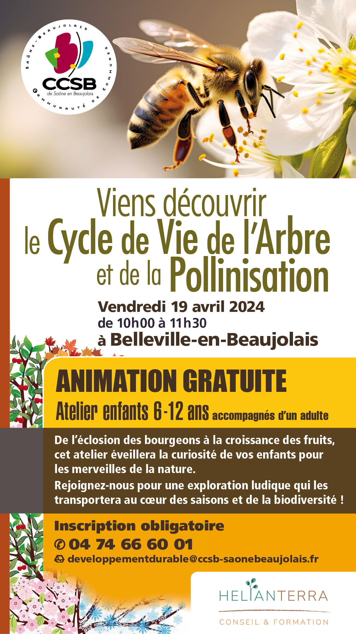 ccsb-cycle-de-vie-de-l-arbre-et-de-la-pollinisation-2024-avril-19.jpg