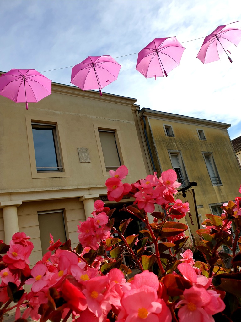 2021 octobre rose3.jpg