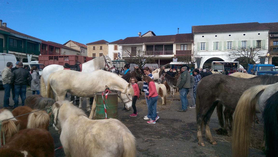 17-03 foire aux chevaux.jpg