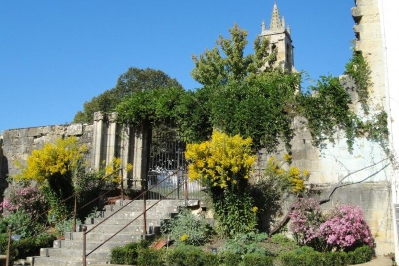 le jardin de Marie.jpg