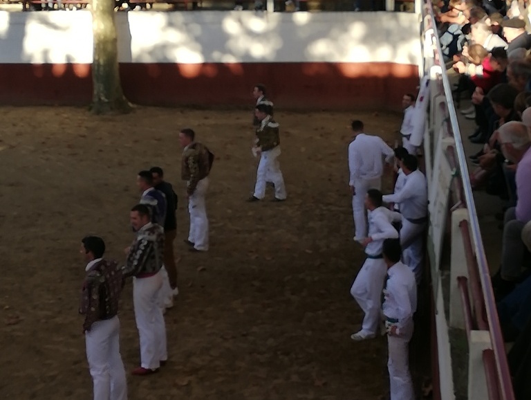 2021-11-24 course landaise8.jpg