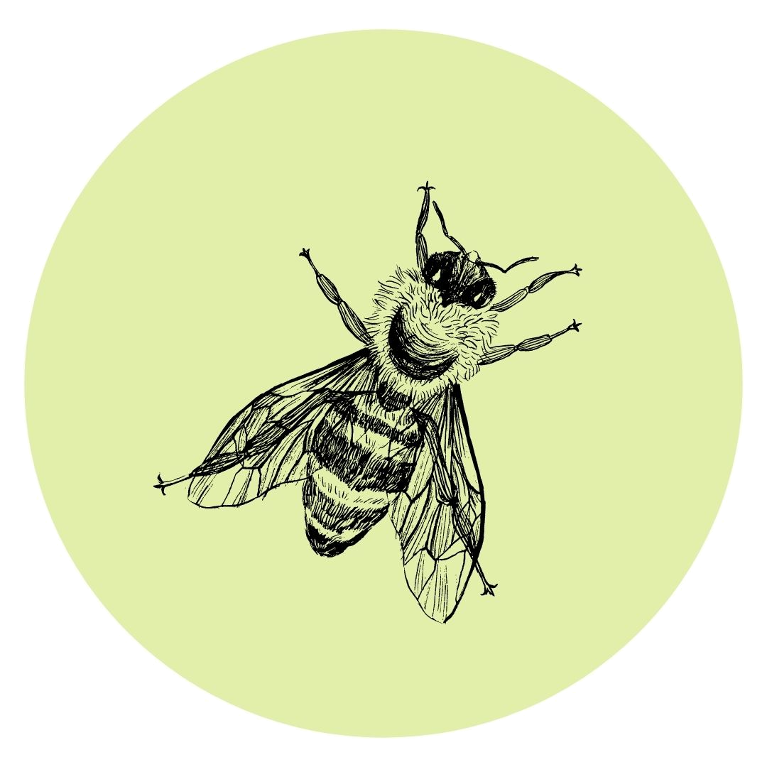 Abeille.png