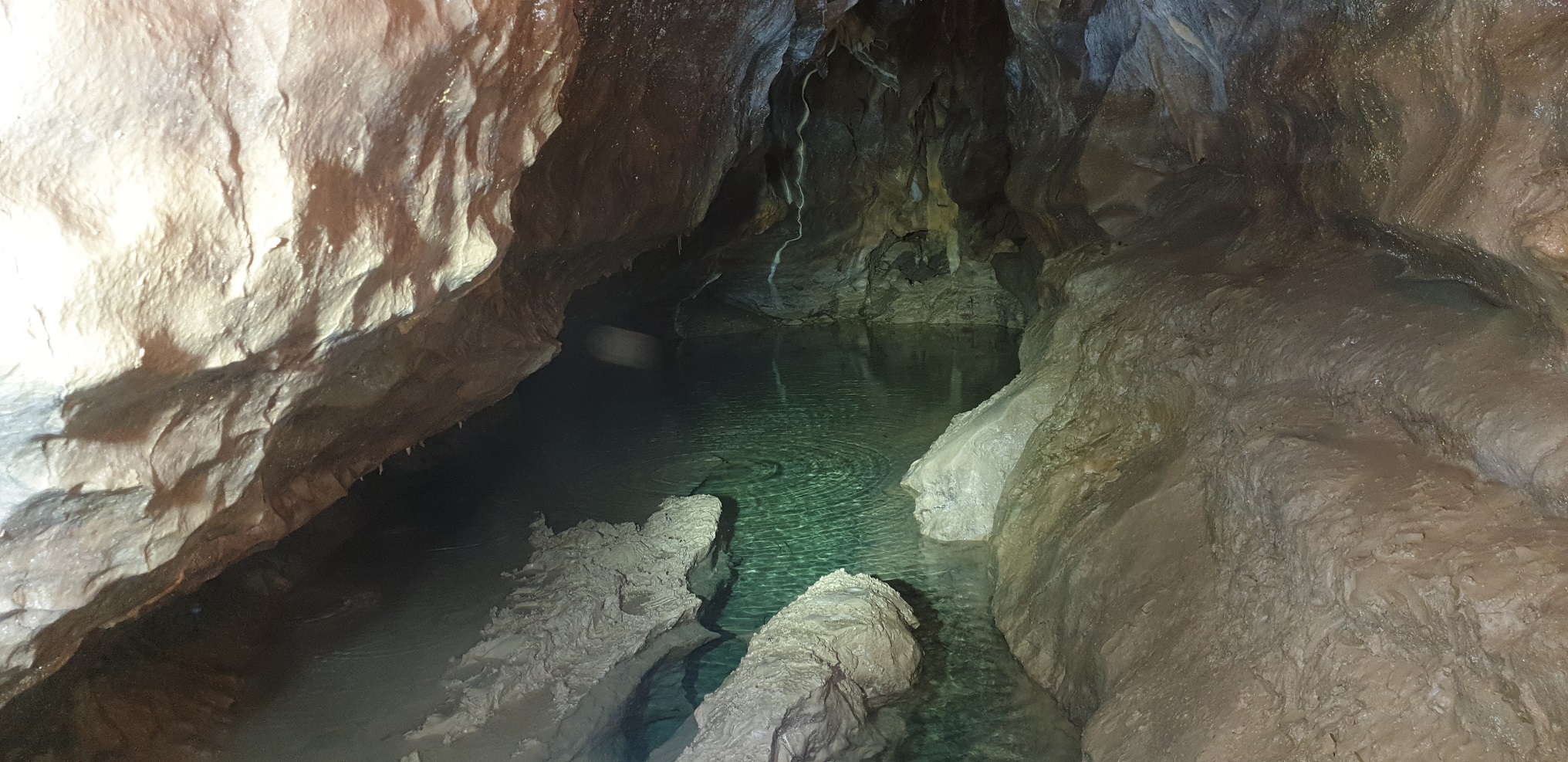 20190420_151040 - Copie.jpg