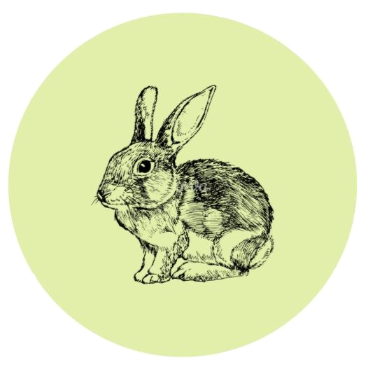 Lapin.png