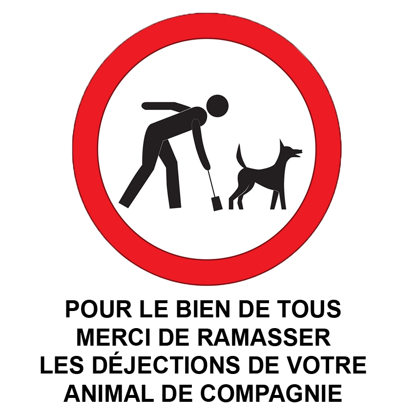 DEJECTION CANINES.png