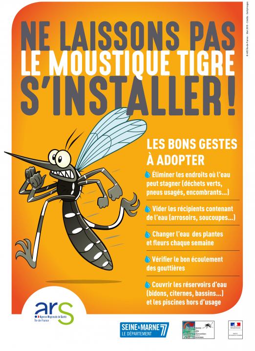 moustique tigre 2.jpg