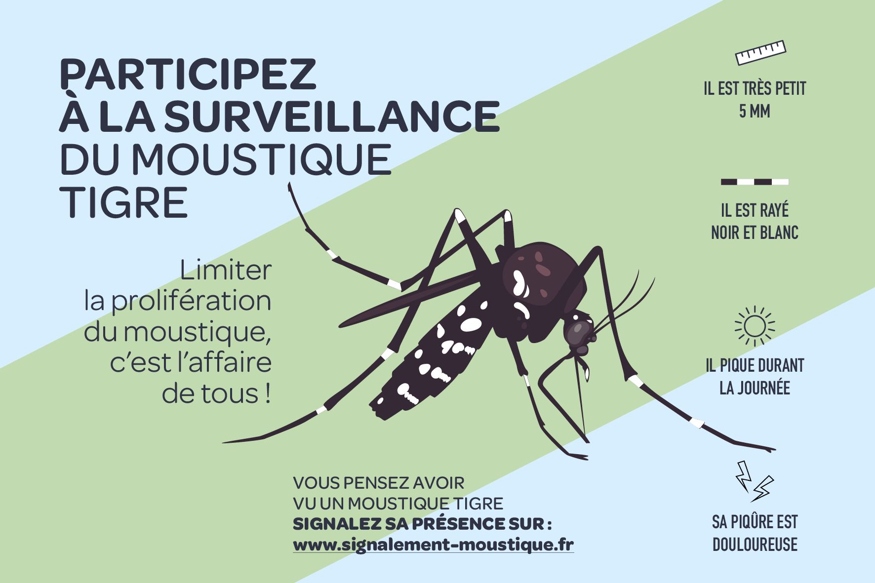 surveilannce moustique tigre.jpg